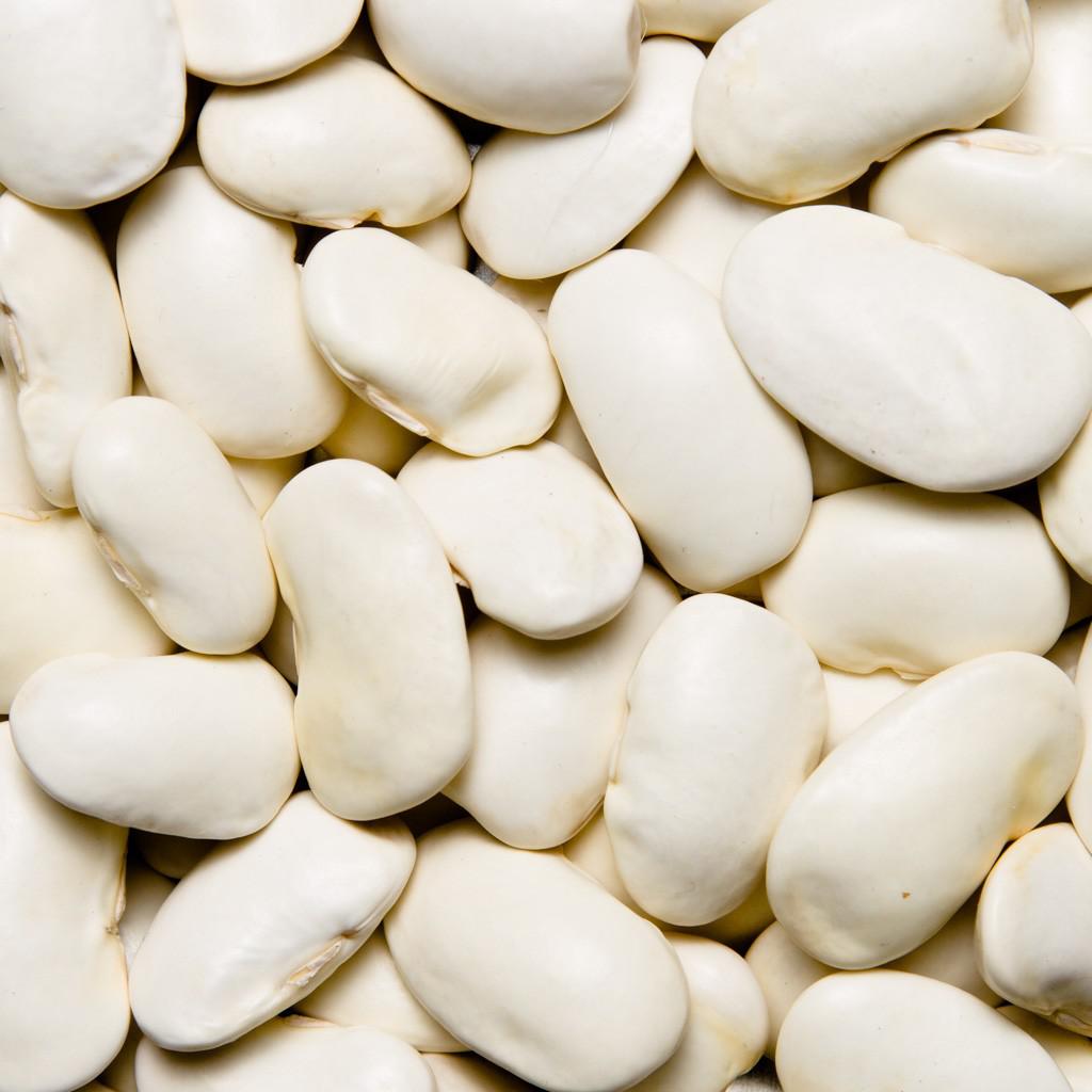 ALUBIA JUDIÓN NACIONAL