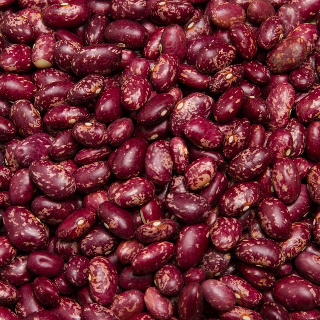 ALUBIA TOLOSANA PALMEÑA