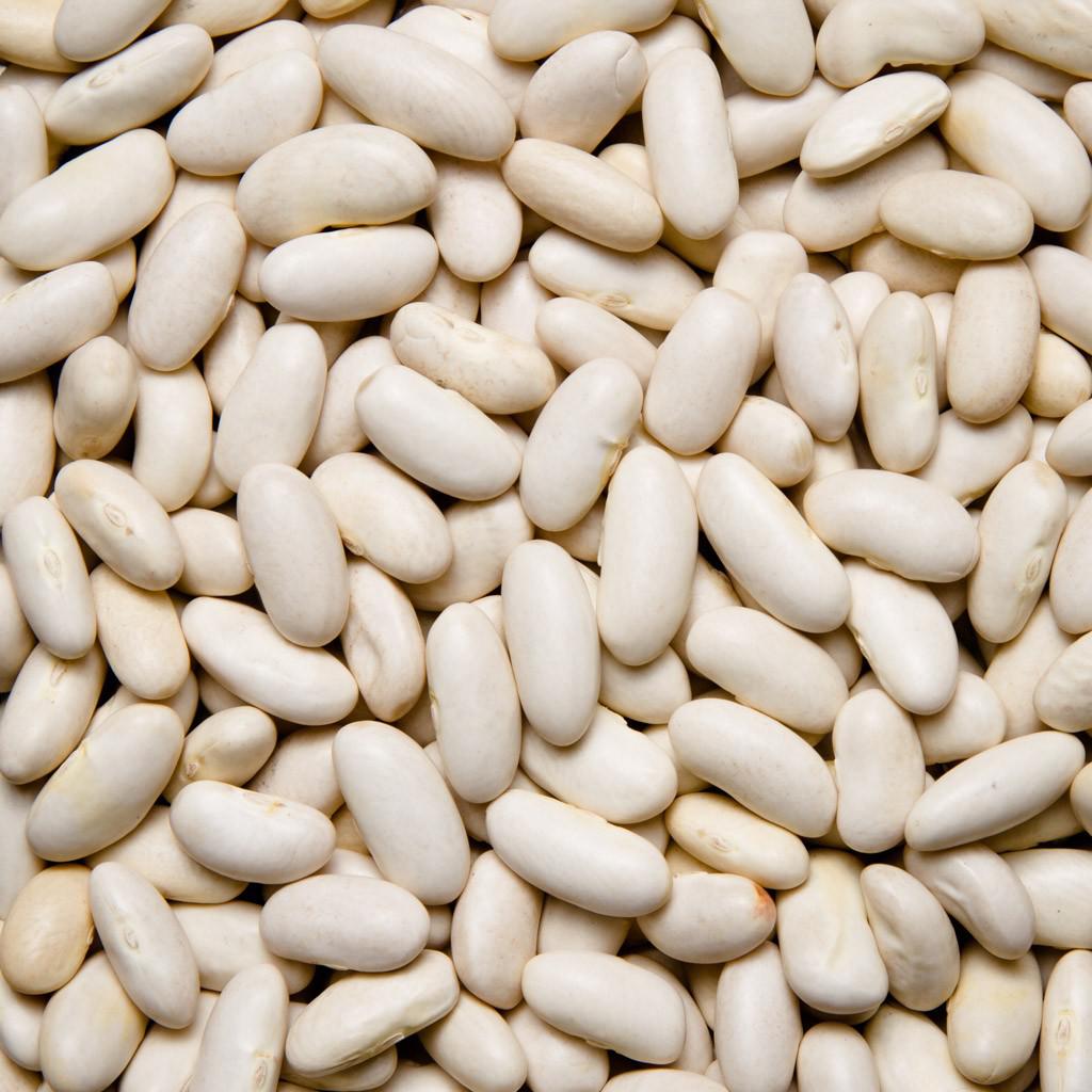 ALUBIA RIÑÓN LEÓN