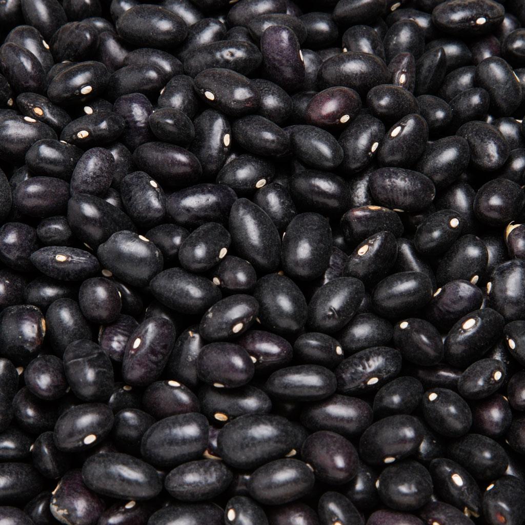 ALUBIA TOLOSANA NEGRA