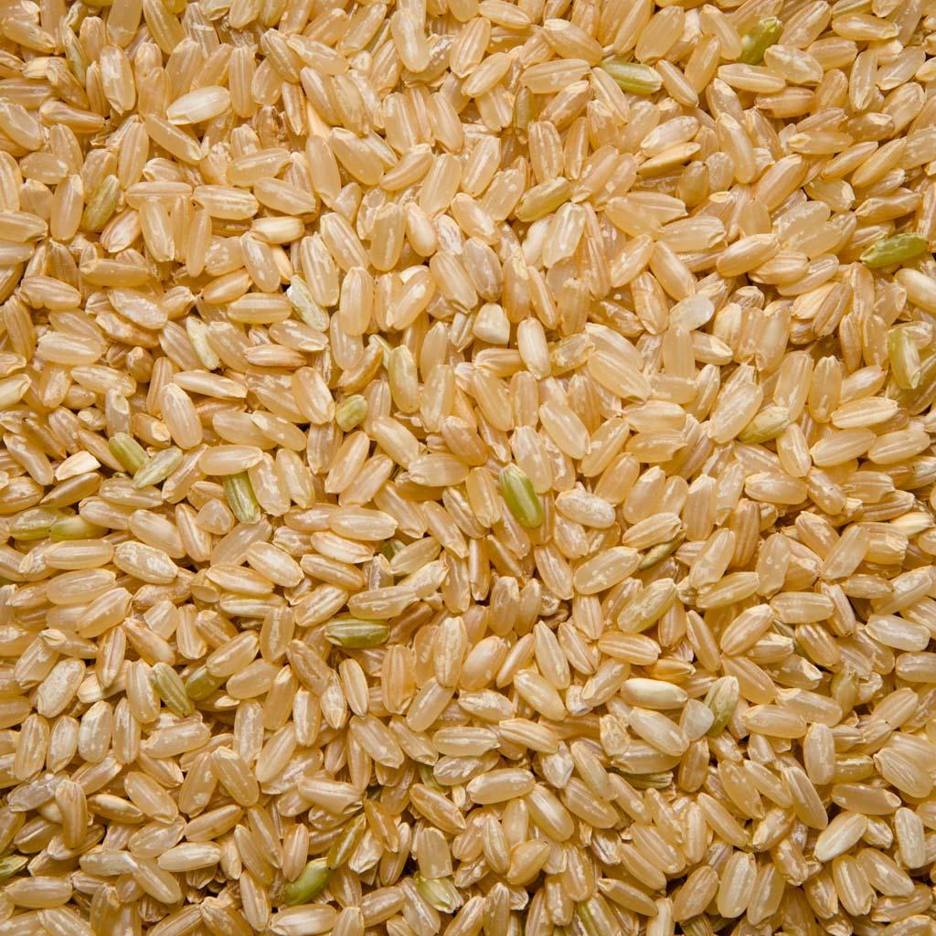 ARROZ REDONDO INTEGRAL