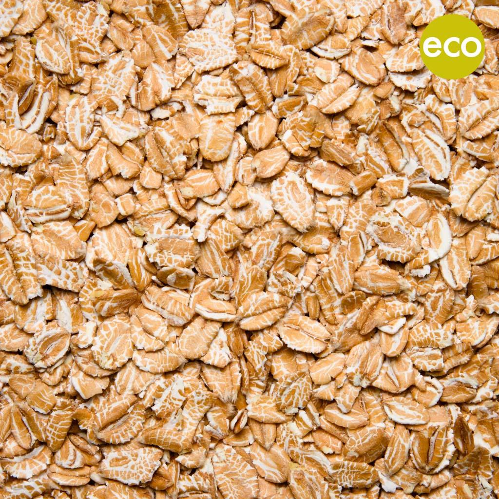 ESPELTA HINCHADA ECO