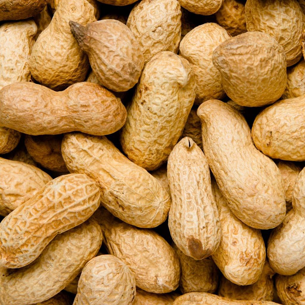 CACAHUETE TOSTADO CÁSCARA