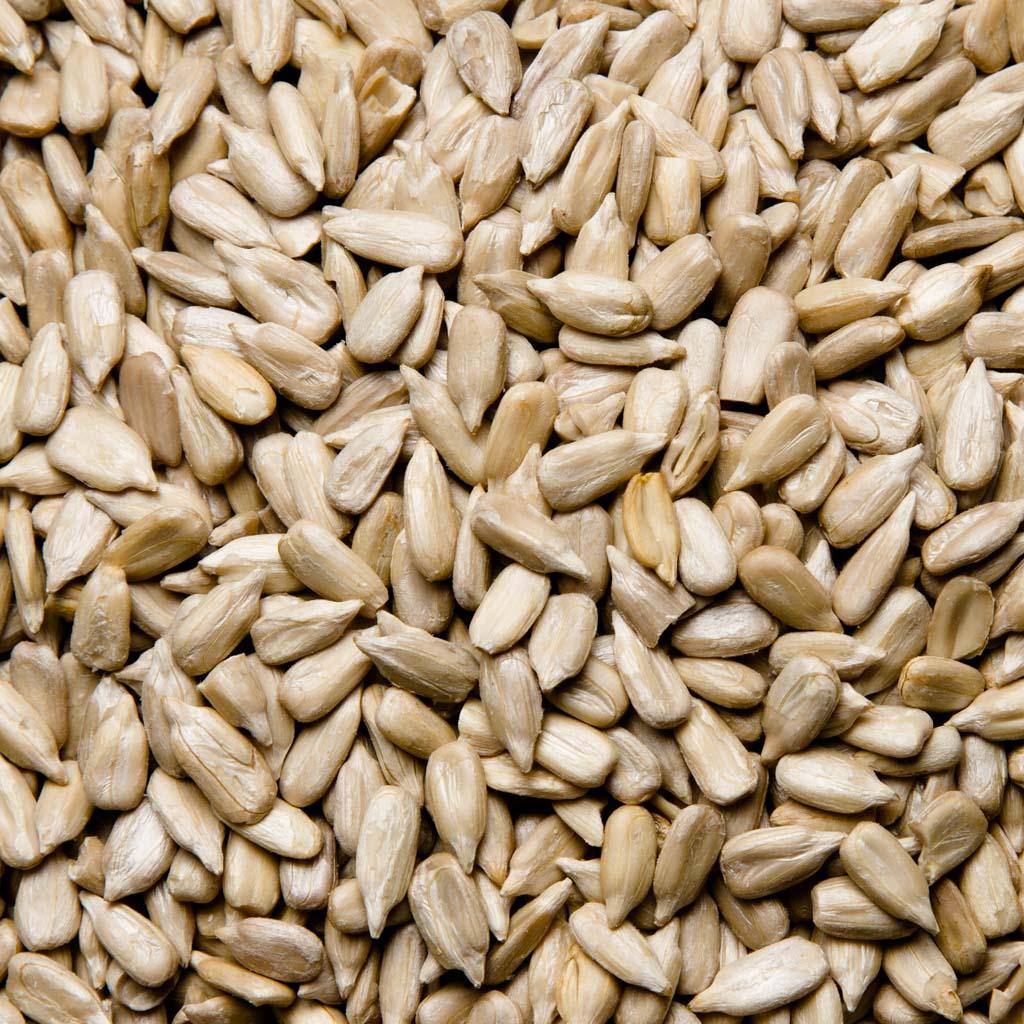 PIPA GIRASOL PELADA CRUDA