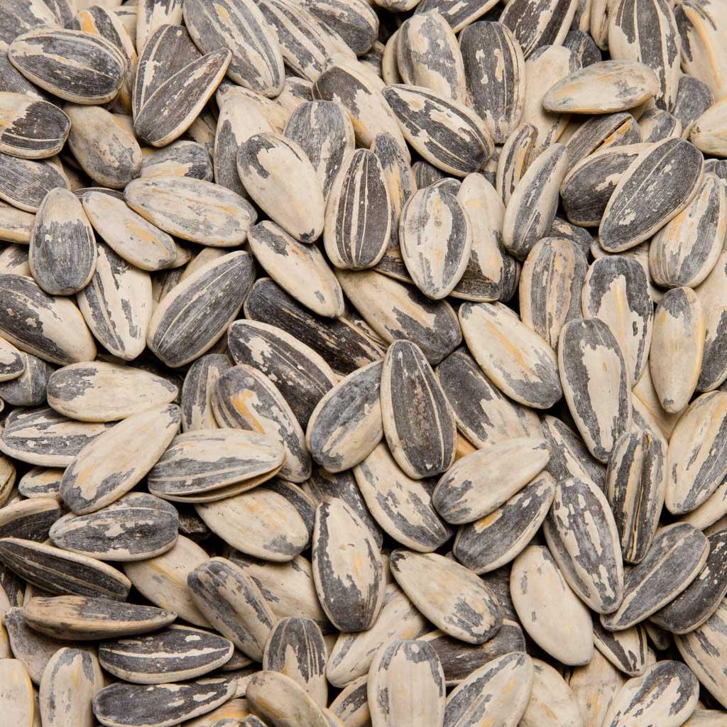 PIPAS DE GIRASOL AGUASAL