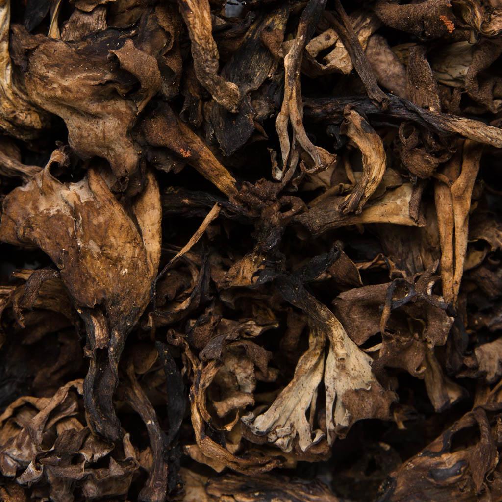 TROMPETA DE LA MUERTE DESHIDRATADA