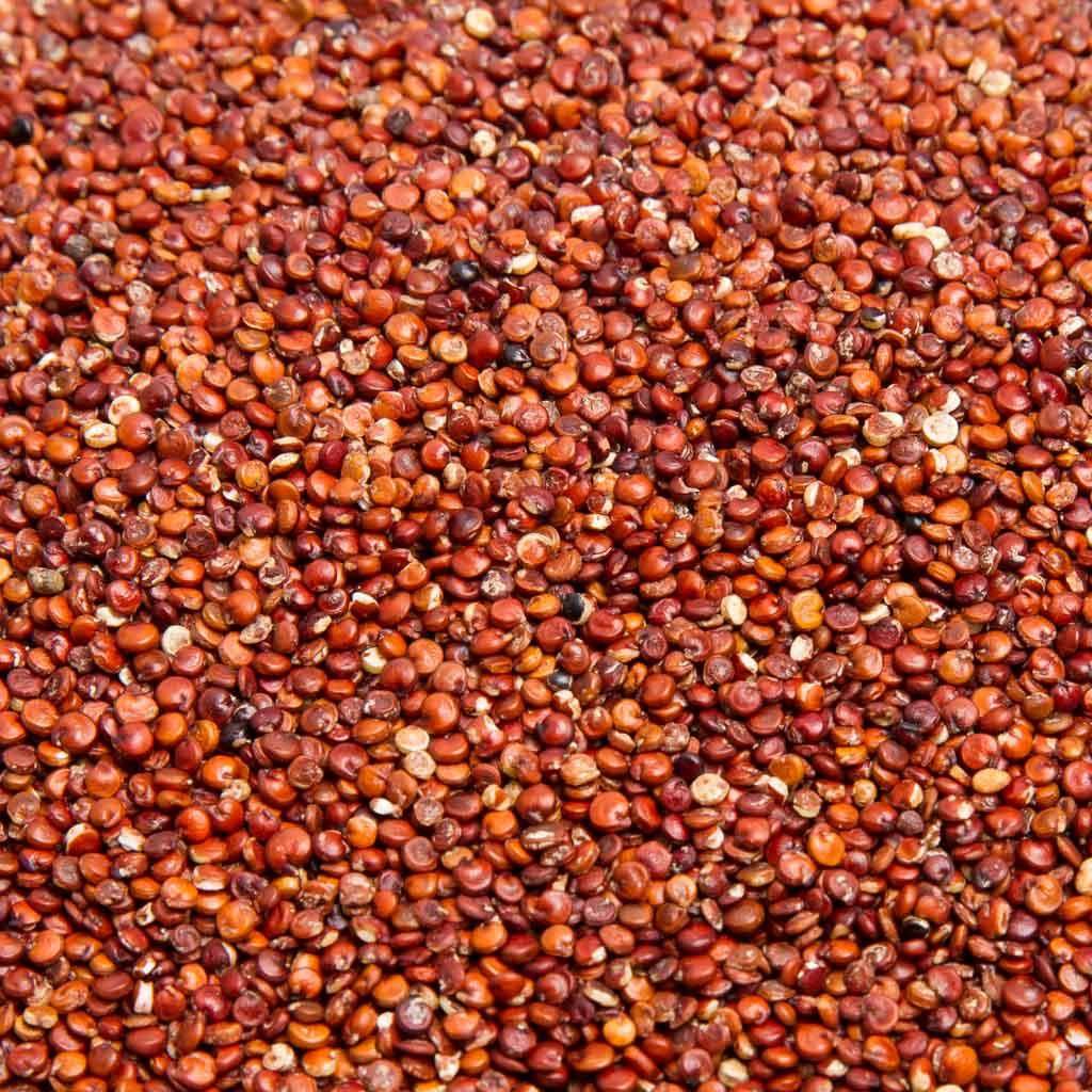 QUINOA ROJA