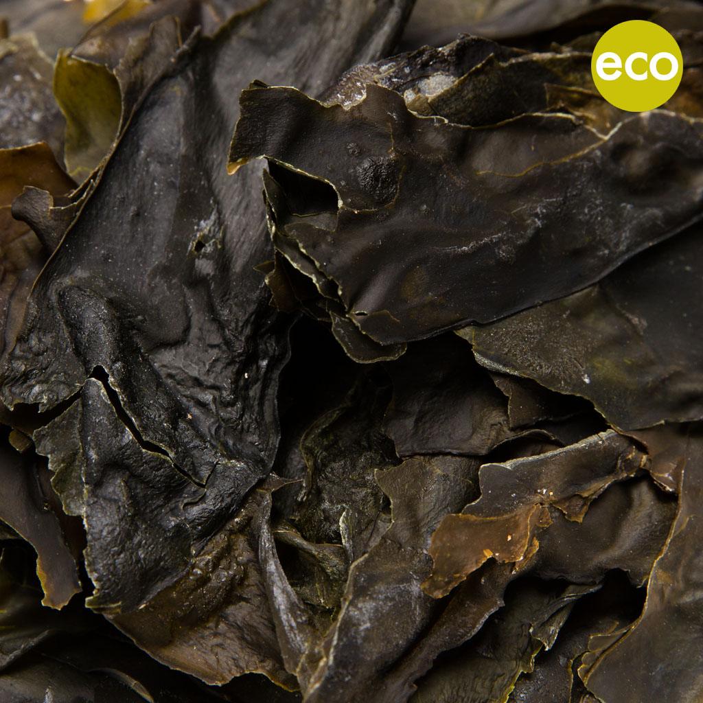 KOMBU ECO BIO