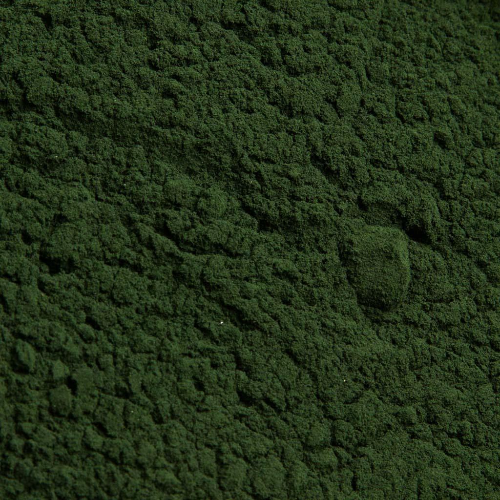 ESPIRULINA EN POLVO