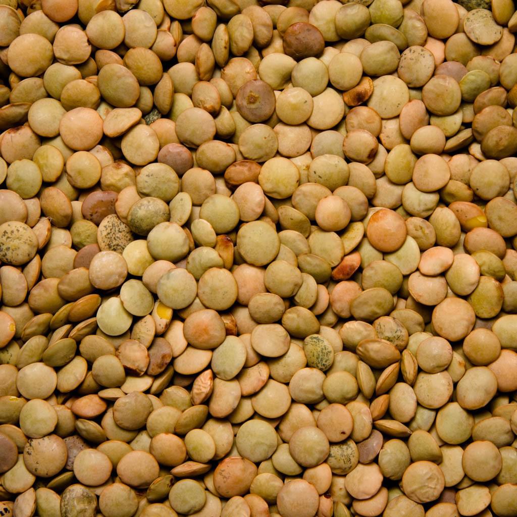 LENTEJA CASTELLANA ECO