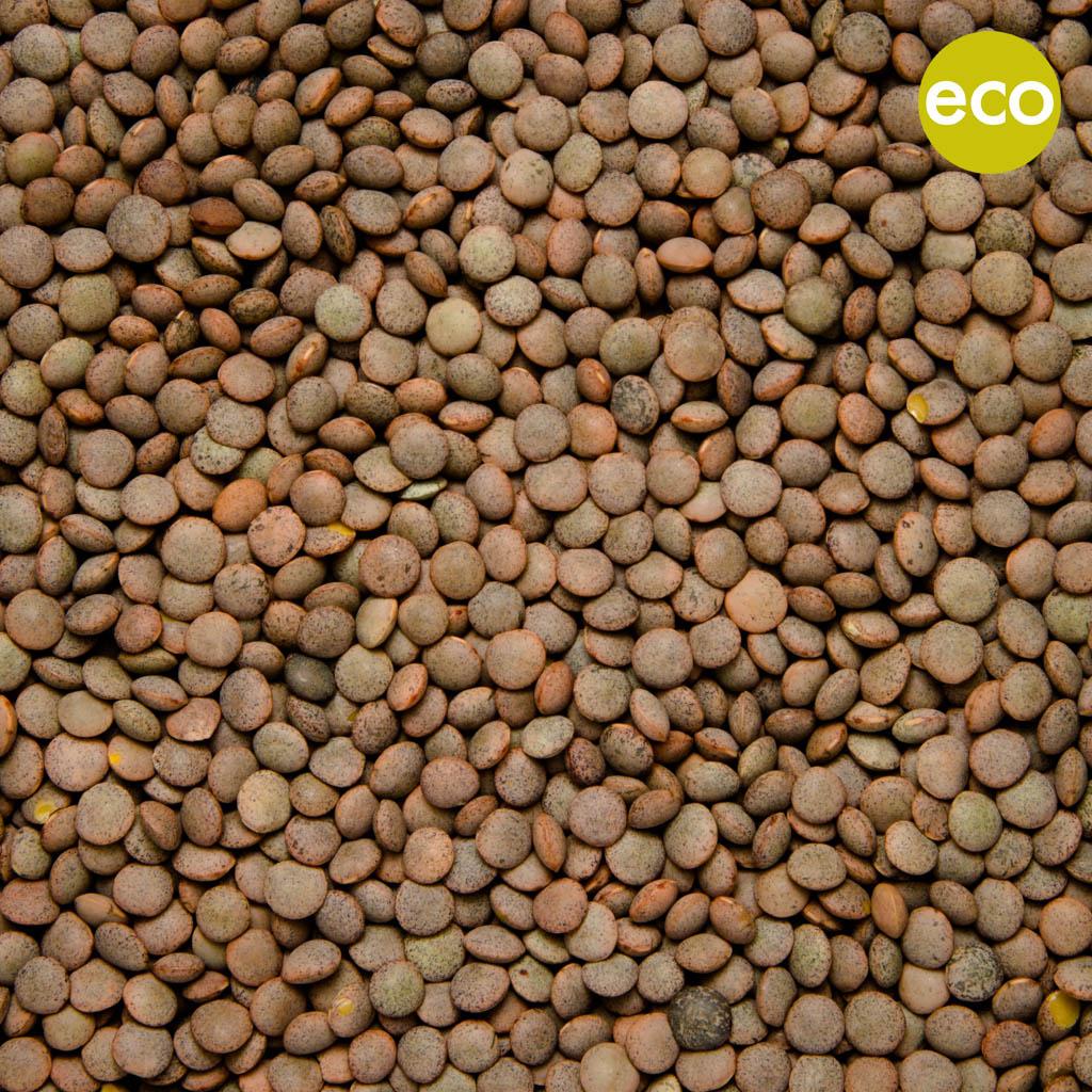 LENTEJA PARDINA ECO