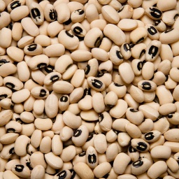 [0119] ALUBIA CARILLA