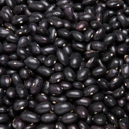 [0128] ALUBIA TOLOSANA NEGRA