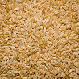 [0202] ARROZ REDONDO INTEGRAL