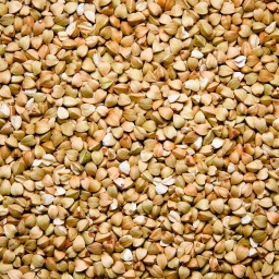 [0309] GRANO TRIGO SARRACENO ECO