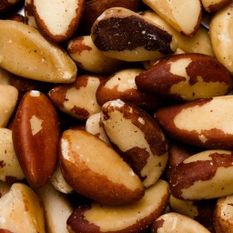 [0514] NUEZ DE BRASIL