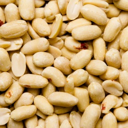 [0515] CACAHUETE PELADO CRUDO