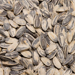 [0556] PIPAS DE GIRASOL AGUASAL