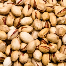 [0560] PISTACHO CRUDO