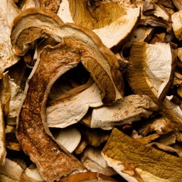 [1000] BOLETUS DESHIDRATADOS