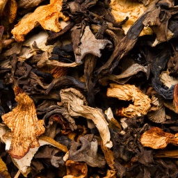 [1001] MEZCLA DE SETAS DESHIDRATADAS