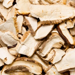 [1002] SHIITAKEE DESHIDRATADA