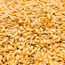 [1103] SEMILLAS DE LINO DORADO