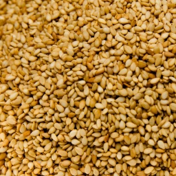 [1111] SÉSAMO TOSTADO