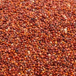 [1114] QUINOA ROJA