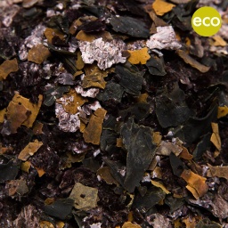 [1202] ENSALADA DE ALGAS ECO