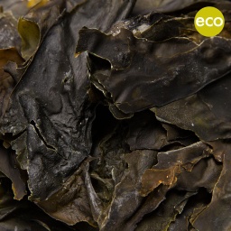 [1203] KOMBU ECO BIO