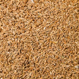 [1304] ANÍS EN GRANO