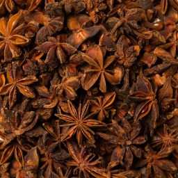 [1305] ANÍS ESTRELLADO