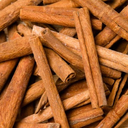 [1307] CANELA CASSIA RAMA