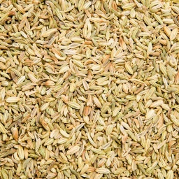 [1328] HINOJO EN GRANO