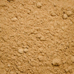 [1329] JENGIBRE MOLIDO