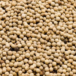 [1338] PIMIENTA BLANCA EN GRANO