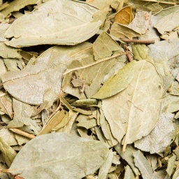 [1349] BOLDO EN HOJAS