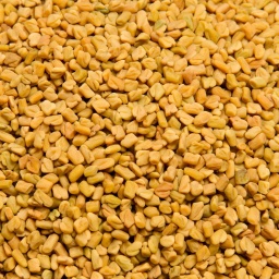 [1352] ALHOLVAS FENOGRECO