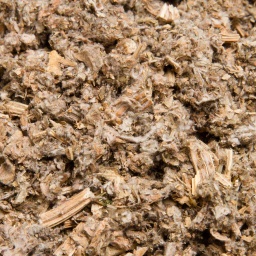 [1354] ALCACHOFA EN HOJAS