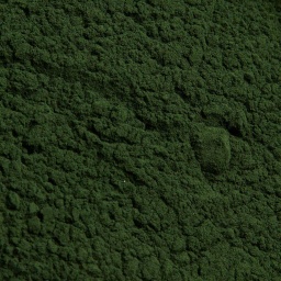 [1368] ESPIRULINA EN POLVO