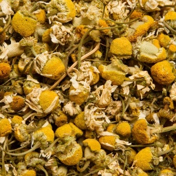 [1375] MANZANILLA DULCE