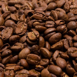 [1533] CAFÉ GUATEMALA