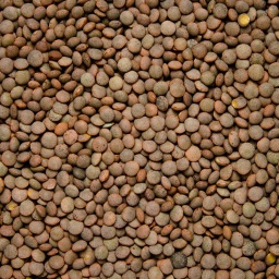 [0101] LENTEJA PARDINA