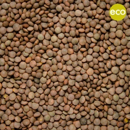 [0102] LENTEJA PARDINA ECO