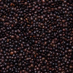 [0103] LENTEJA CAVIAR