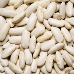 [0106] ALUBIA FABADA ASTURIANA