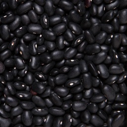 [0107] ALUBIA FRIJOL