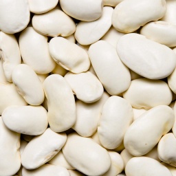 [0109] ALUBIA JUDIÓN NACIONAL