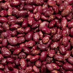 [0110] ALUBIA TOLOSANA PALMEÑA